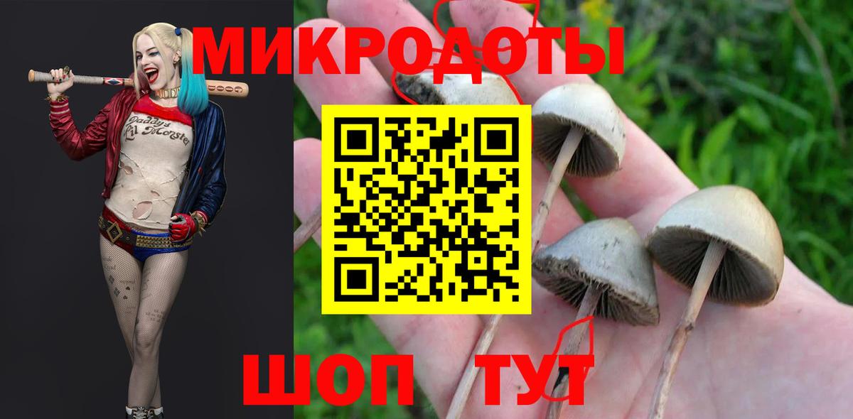 Псилоцибиновые грибы Magic Shrooms Курск