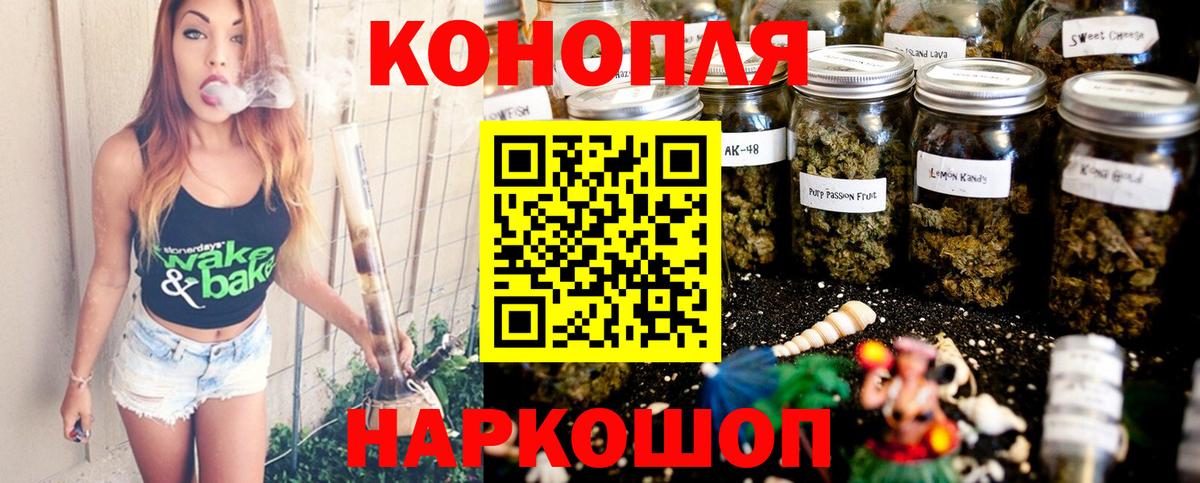 Конопля конопля Курск